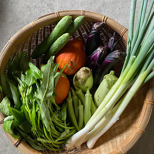 ⁡今週は、金曜日までどうぞよろしくお願いします！お野菜入荷してまっす。夏野菜、今年は早めに終わってしまう可能性も。いまのうち、美味しく新鮮なお野菜をたくさん食べてくださいねー