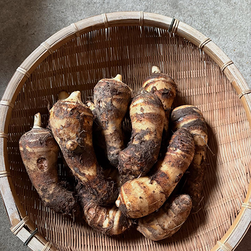 月曜日から今日にかけてお野菜、りんご入荷しています 年内のお野菜入荷は、今日が最終の予定です