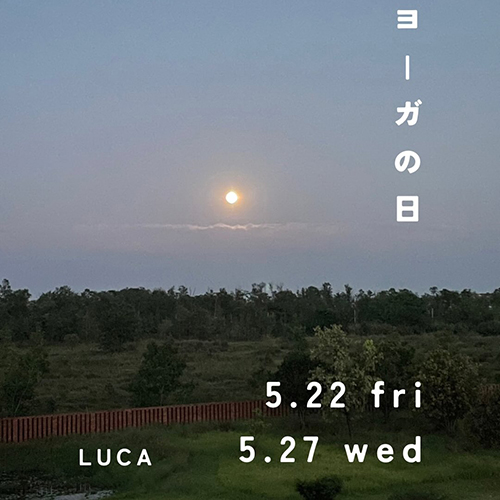 ＼ヨーガの日／@2022_luca_ ちゃんがネパールに滞在中のため今月は月末の水曜日と金曜日に開催します。